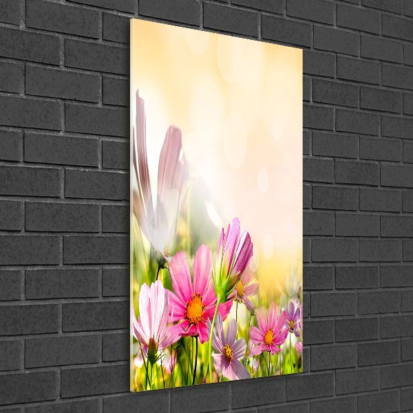 Print on acrylic Field flowers