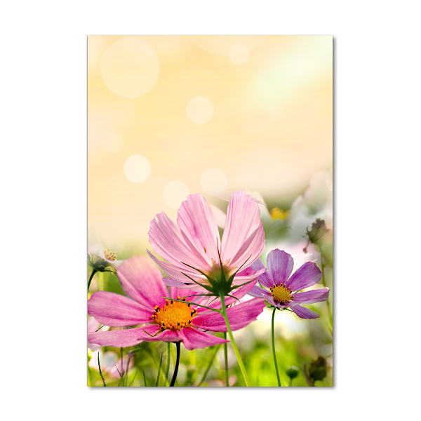 Print on acrylic Field flowers