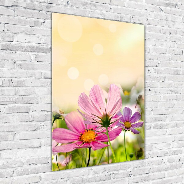 Print on acrylic Field flowers