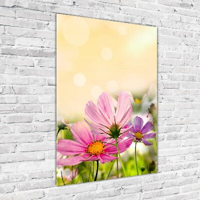 Print on acrylic Field flowers