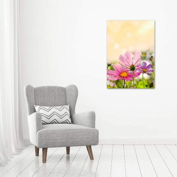 Print on acrylic Field flowers