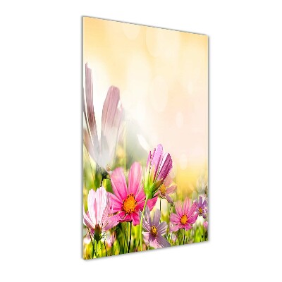 Print on acrylic Field flowers