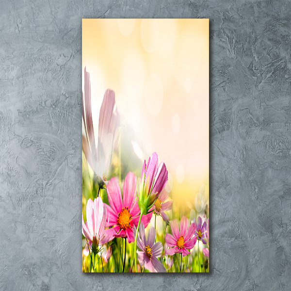 Print on acrylic Field flowers