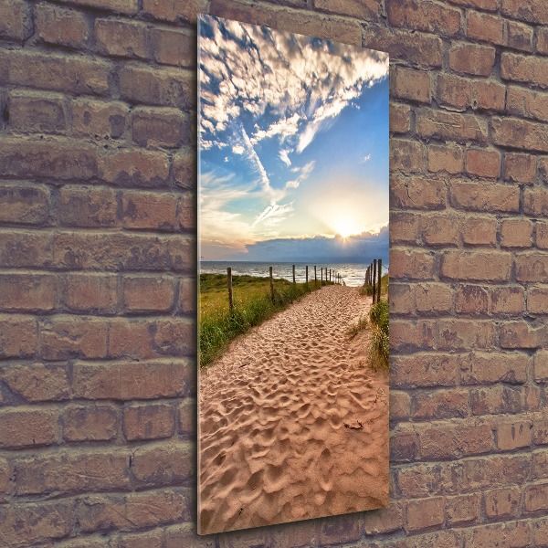 Acrylic print Path to the beach