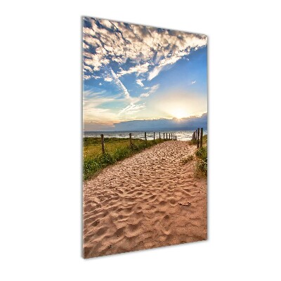 Acrylic print Path to the beach