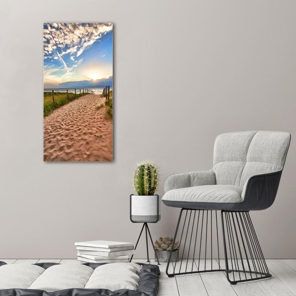 Acrylic print Path to the beach