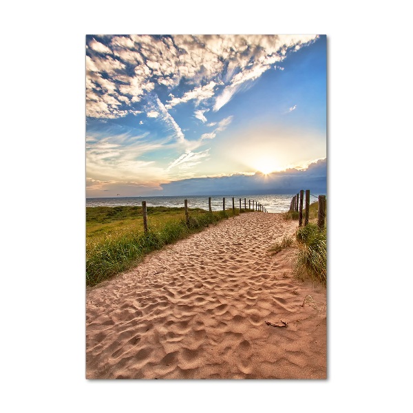 Acrylic print Path to the beach