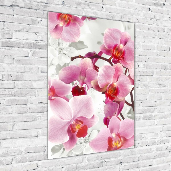 Print on acrylic Pink orchid