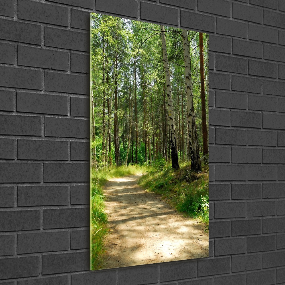 Acrylic print Birch forest