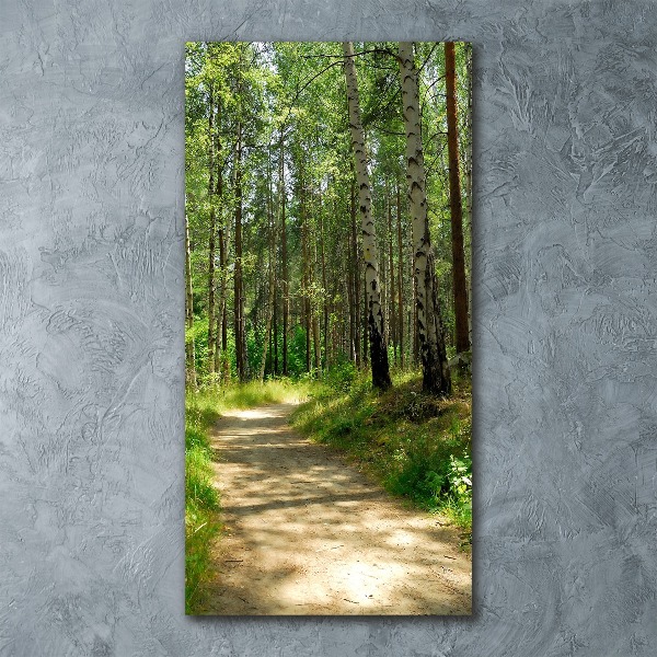 Acrylic print Birch forest