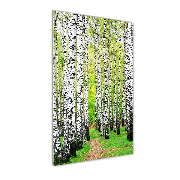 Print on acrylic glass Birch forest