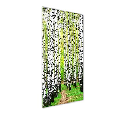 Print on acrylic glass Birch forest