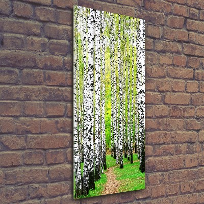 Print on acrylic glass Birch forest