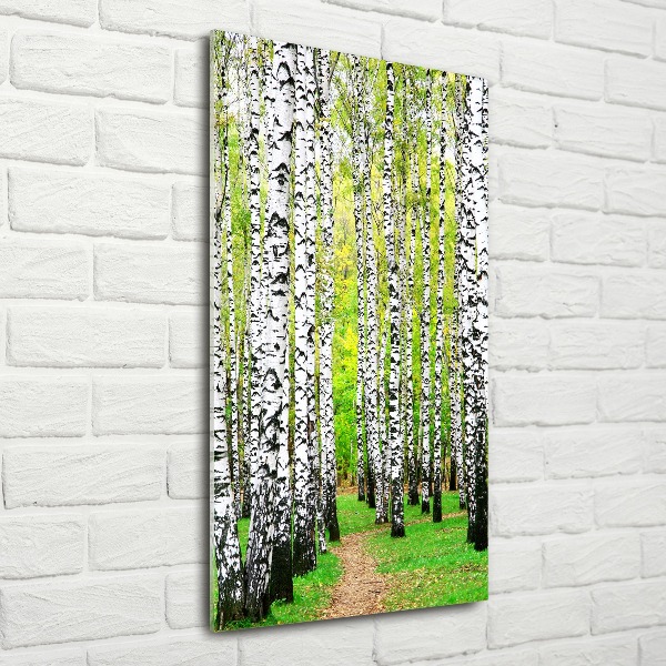 Print on acrylic glass Birch forest