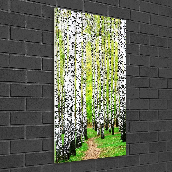 Print on acrylic glass Birch forest