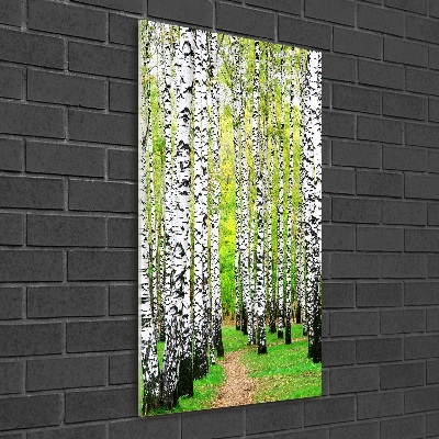 Print on acrylic glass Birch forest