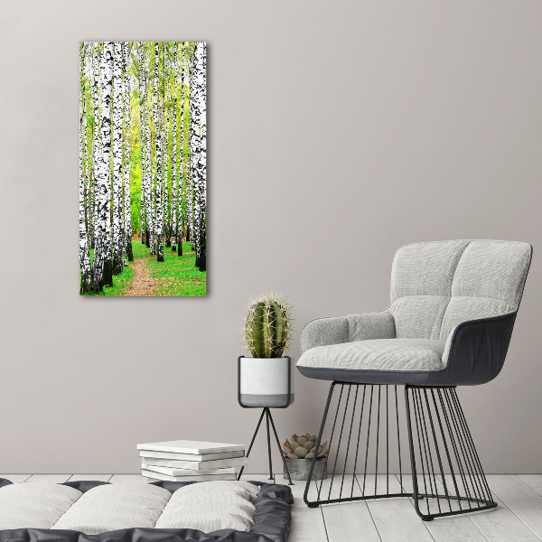 Print on acrylic glass Birch forest