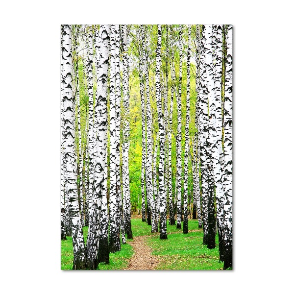 Print on acrylic glass Birch forest