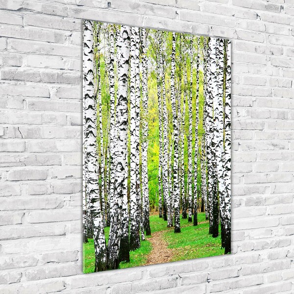 Print on acrylic glass Birch forest