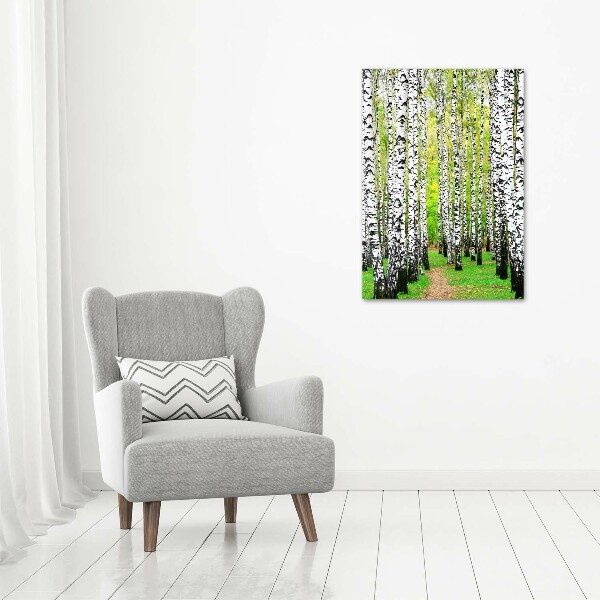 Print on acrylic glass Birch forest