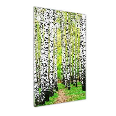 Print on acrylic glass Birch forest