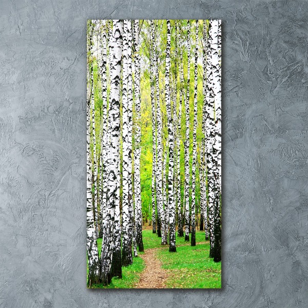 Print on acrylic glass Birch forest