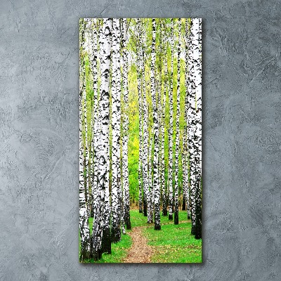 Print on acrylic glass Birch forest