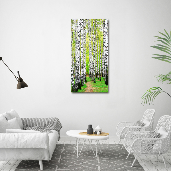 Print on acrylic glass Birch forest