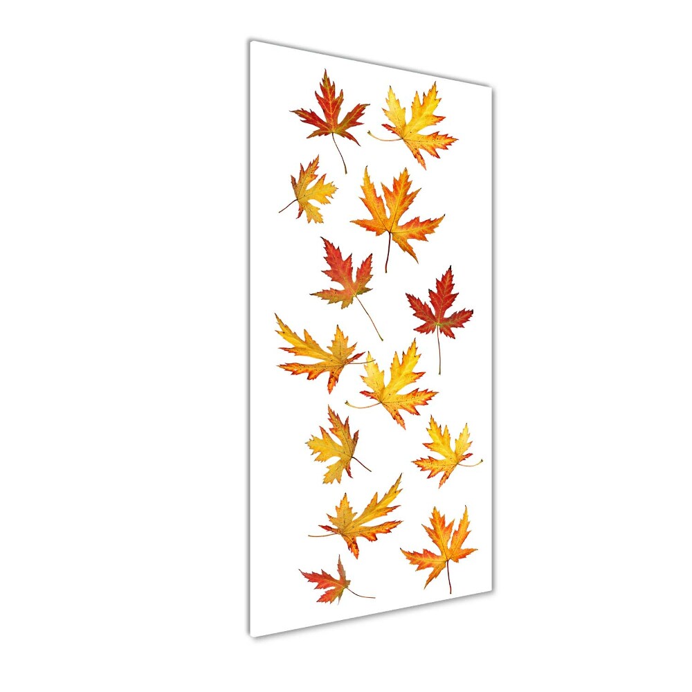 Print on acrylic Autumn leaves