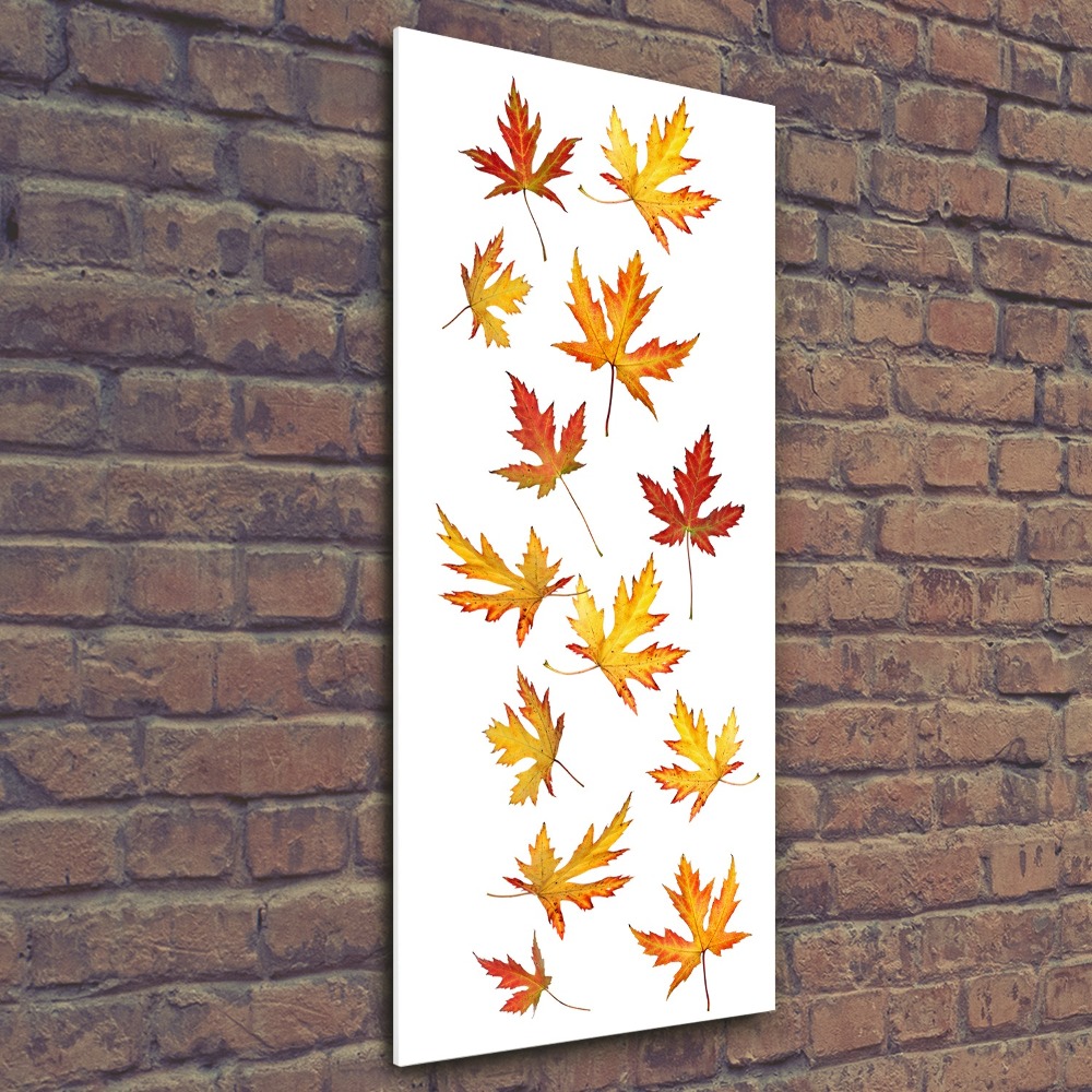 Print on acrylic Autumn leaves