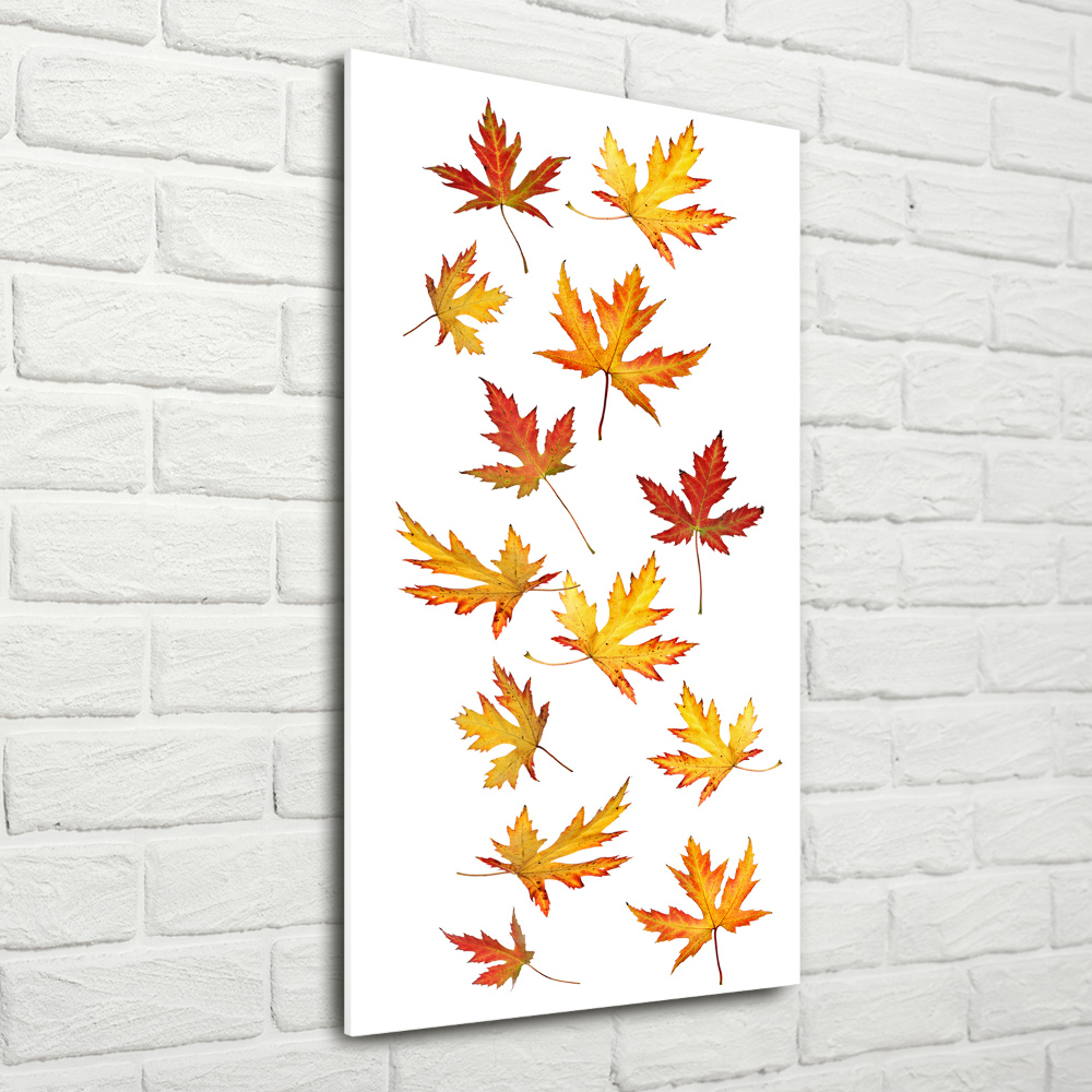 Print on acrylic Autumn leaves