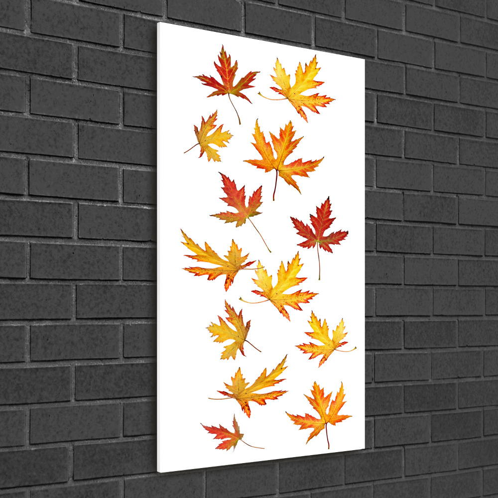 Print on acrylic Autumn leaves