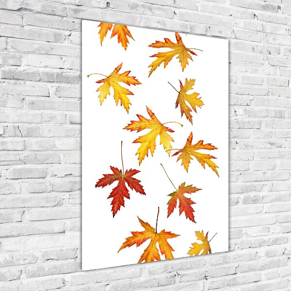 Print on acrylic Autumn leaves