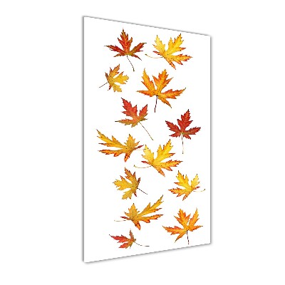 Print on acrylic Autumn leaves