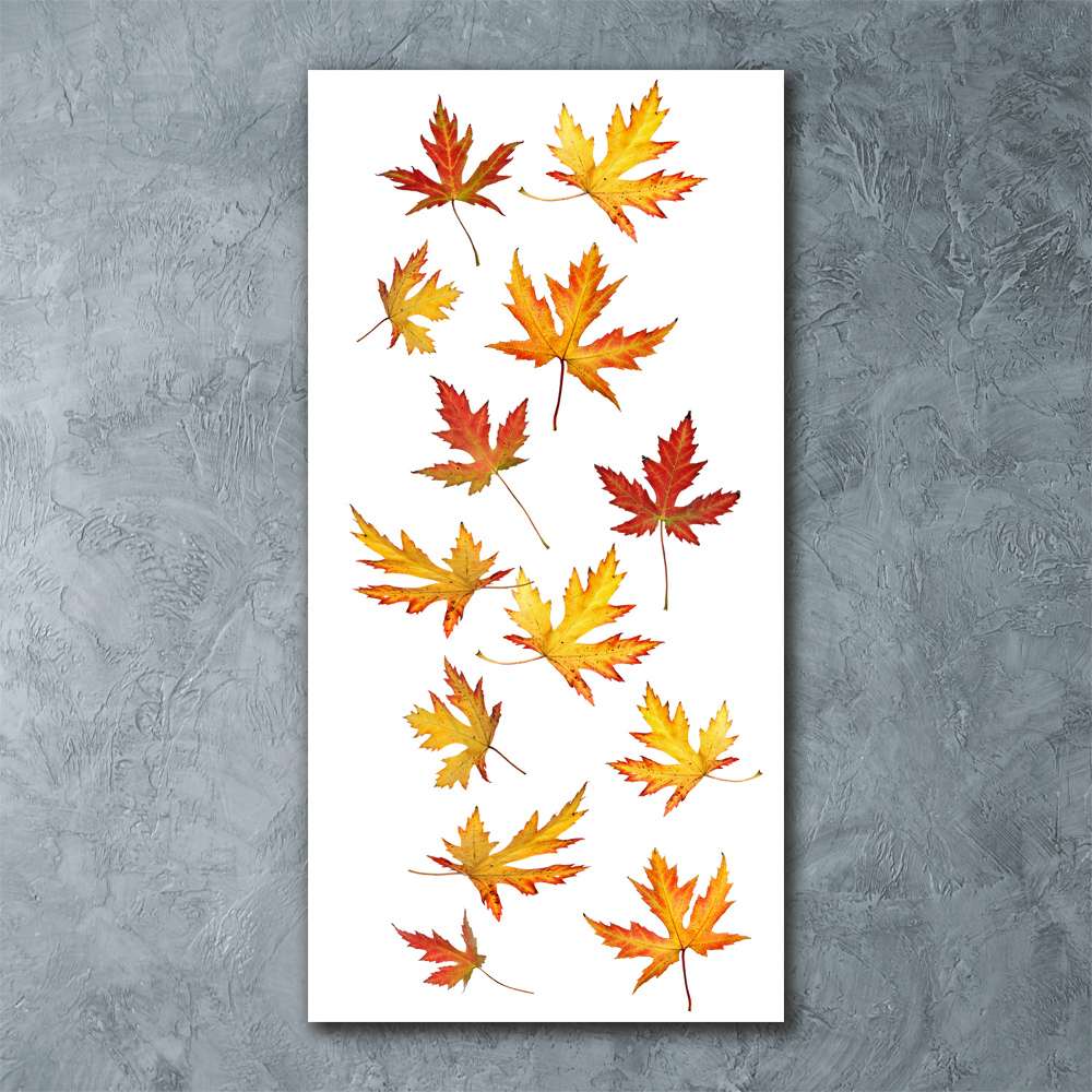 Print on acrylic Autumn leaves