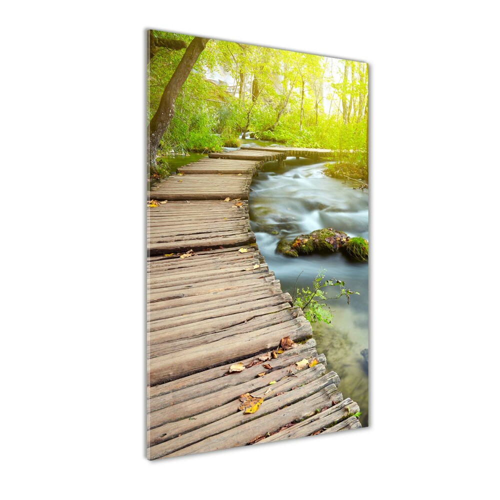 Acrylic print Path in the forest