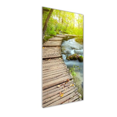 Acrylic print Path in the forest