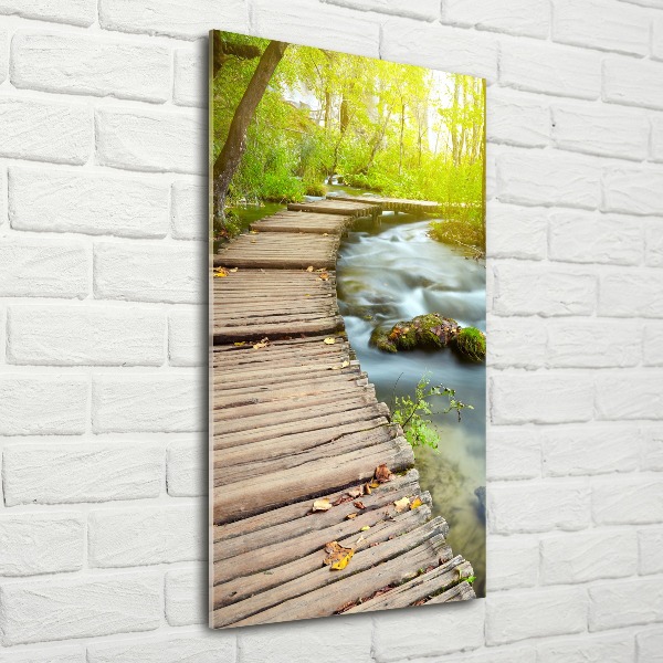 Acrylic print Path in the forest