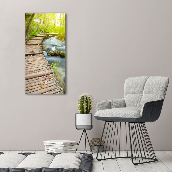 Acrylic print Path in the forest