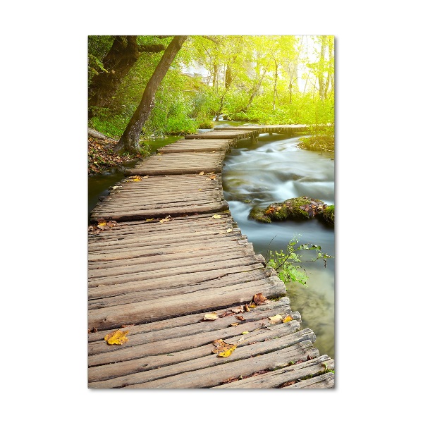 Acrylic print Path in the forest