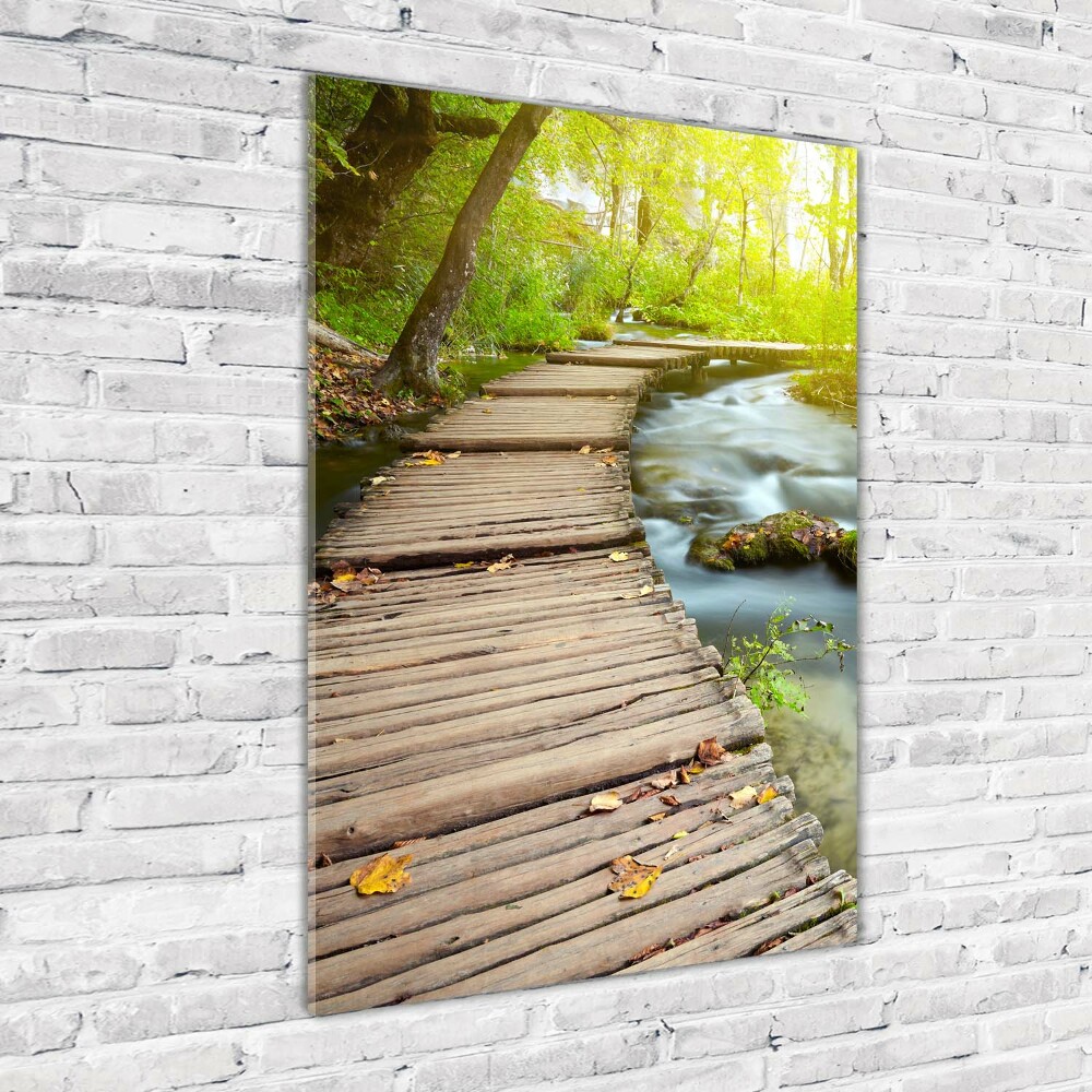 Acrylic print Path in the forest