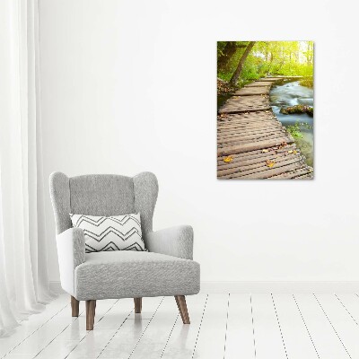 Acrylic print Path in the forest