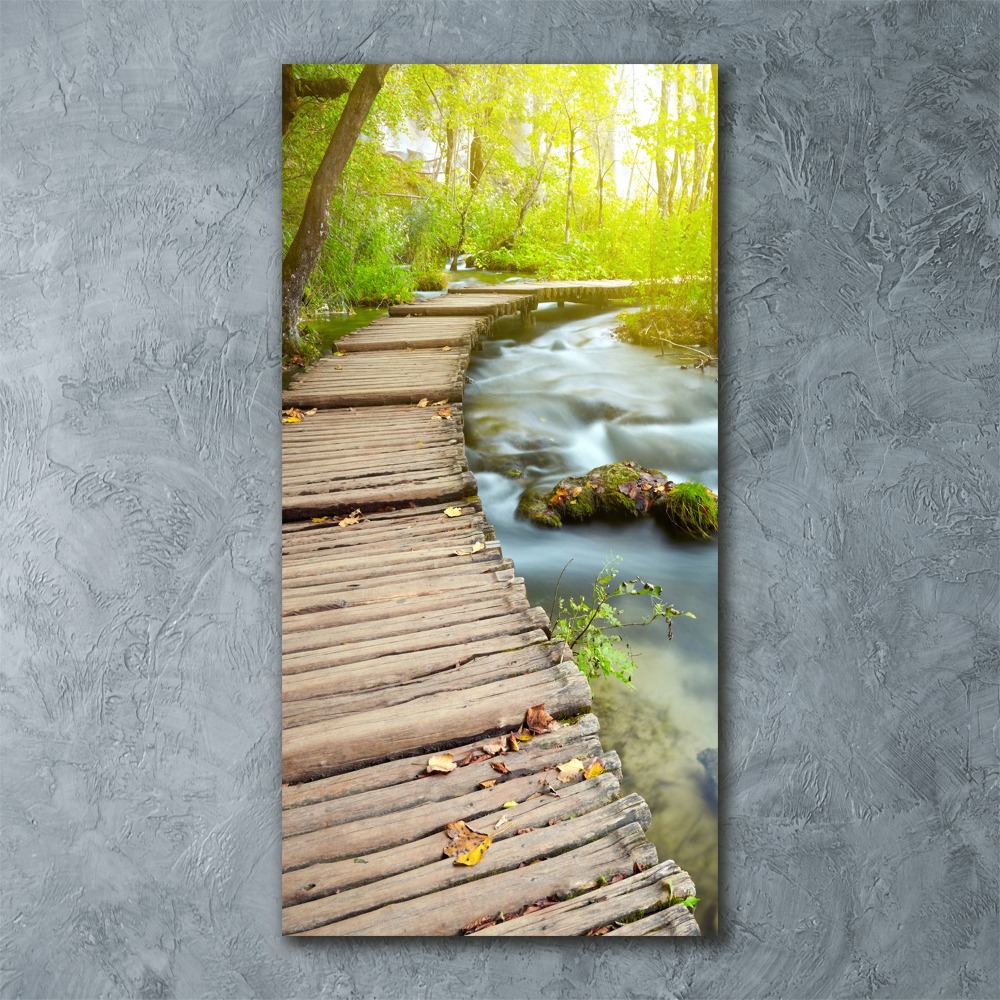 Acrylic print Path in the forest