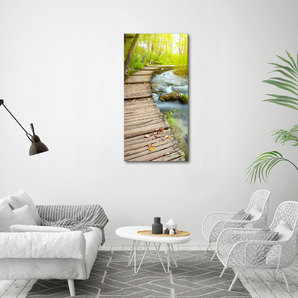 Acrylic print Path in the forest