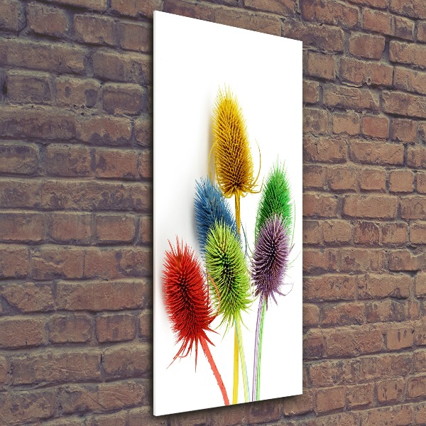 Print on acrylic Thistle