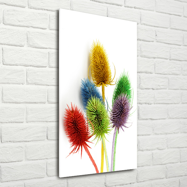 Print on acrylic Thistle