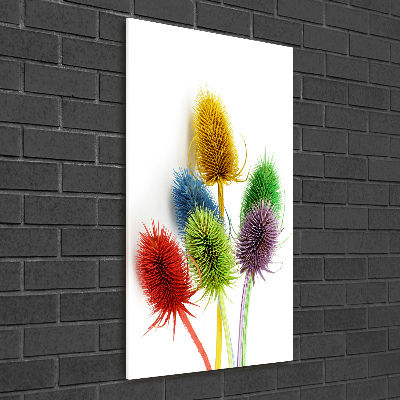 Print on acrylic Thistle