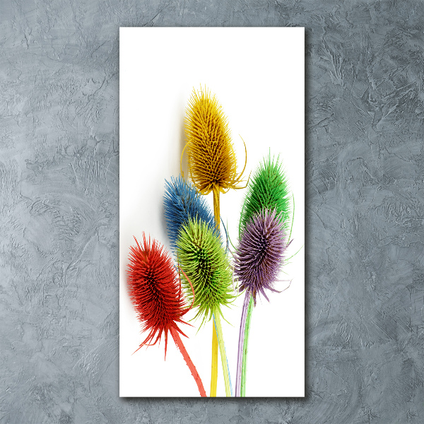 Print on acrylic Thistle