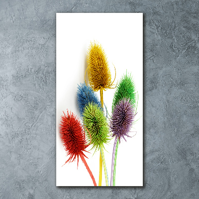 Print on acrylic Thistle