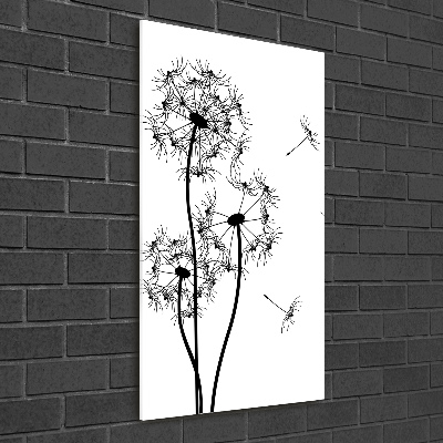 Acrylic print dandelions